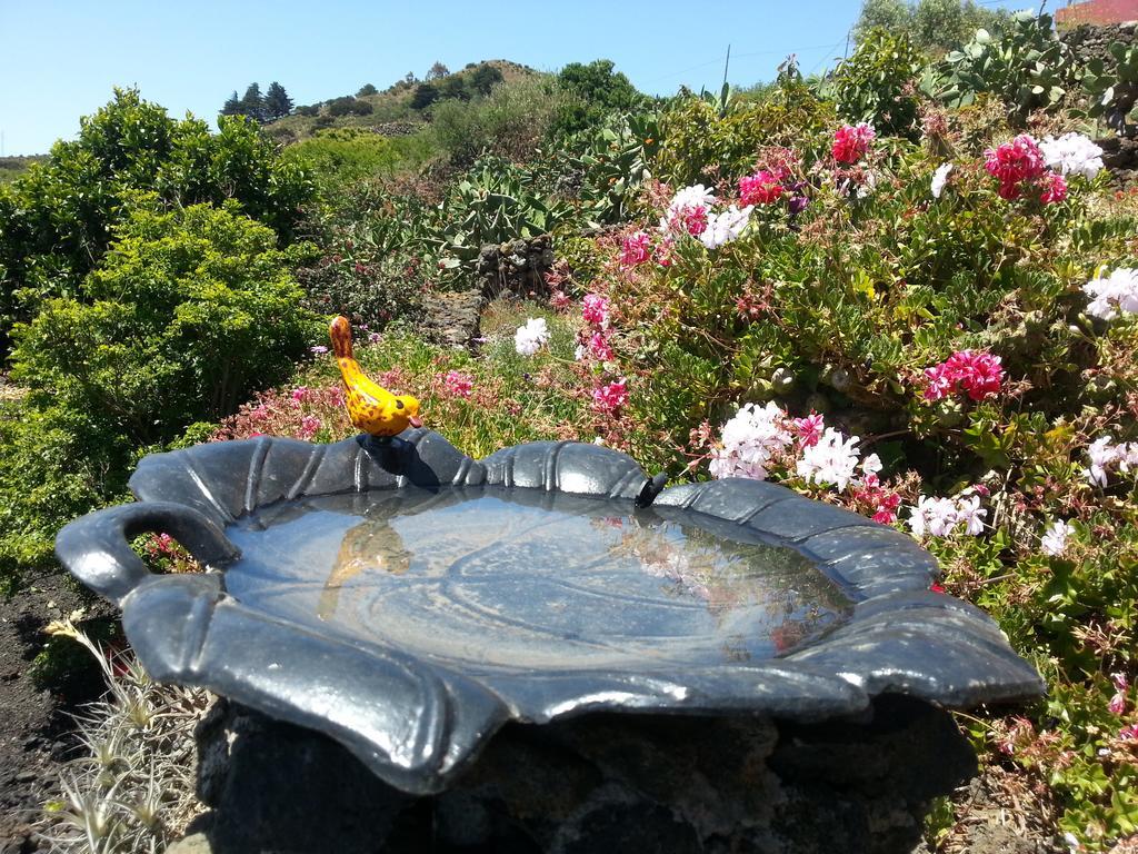 Casa Rural El Valle San Andrés Dış mekan fotoğraf